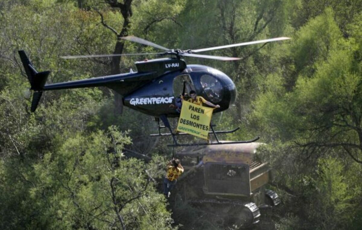 Greenpeace detalló el crecimiento del desmonte en la Argentina y exige la penalización