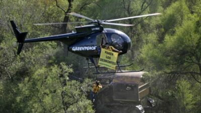 Greenpeace detalló el crecimiento del desmonte en la Argentina y exige la penalización