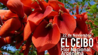 Día de la Flor Nacional: por qué se eligió el ceibo