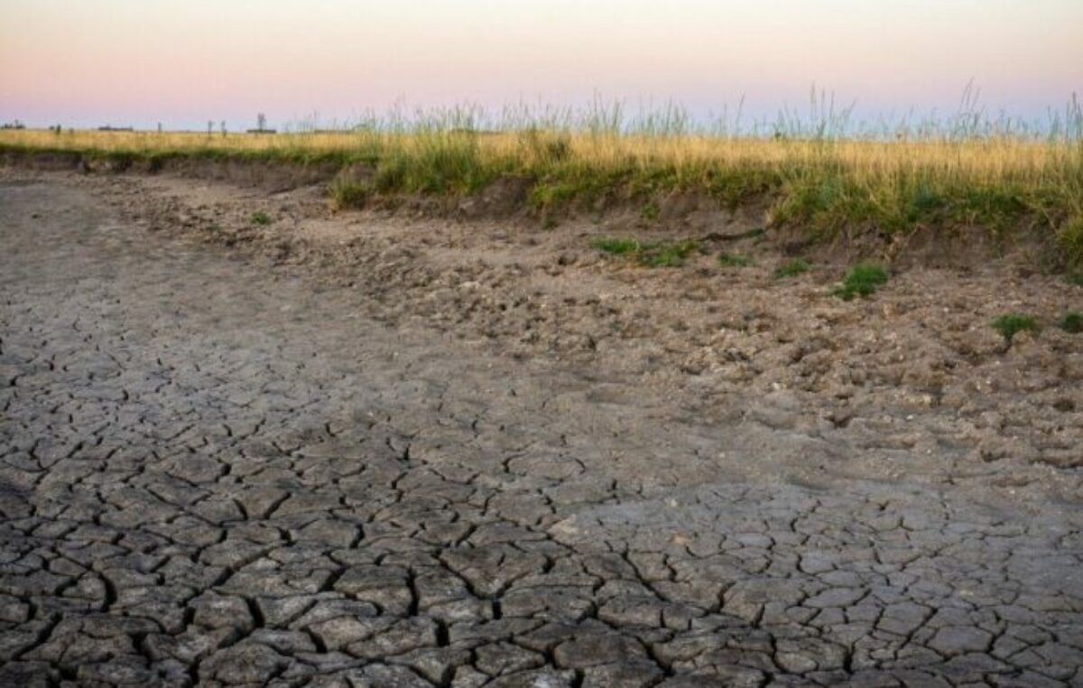 Una agenda ambiental para salir de la crisis