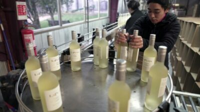 Crece el desempleo en Chile: 8,9% en el trimestre agosto-octubre