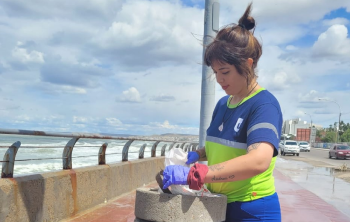 Urbana mantiene más de 170 espacios verdes en Comodoro