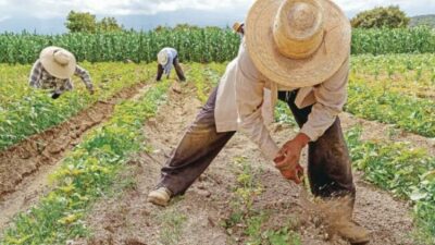 La OIT proyecta un escenario laboral «altamente complejo» en Latinoamérica