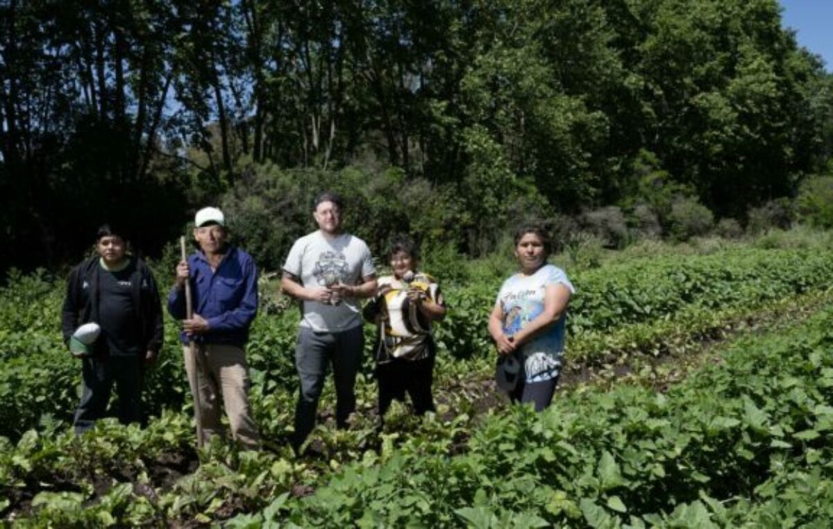 Urbanización y sector agroalimentario: ¿cómo asegurar buenos alimentos para hoy y para mañana?