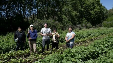 Urbanización y sector agroalimentario: ¿cómo asegurar buenos alimentos para hoy y para mañana?
