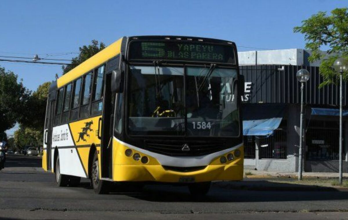 Crisis del transporte: desde este martes habrá un recorte del 25% en el servicio de colectivos en Santa Fe