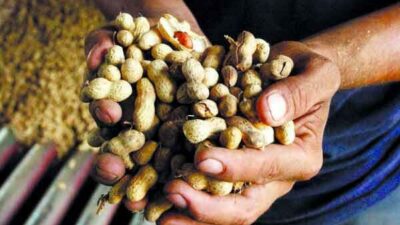 Cítricos, maní, avícolas y pesca piden no estar comprendidos en la suba de retenciones