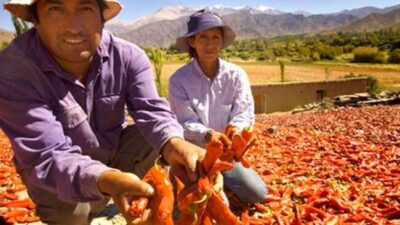 En Cachi las economías locales son afectadas por las medidas nacionales