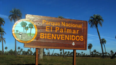 Crece la incertidumbre entre el personal del Parque Nacional El Palmar: trabajan sin contratos ni directivas