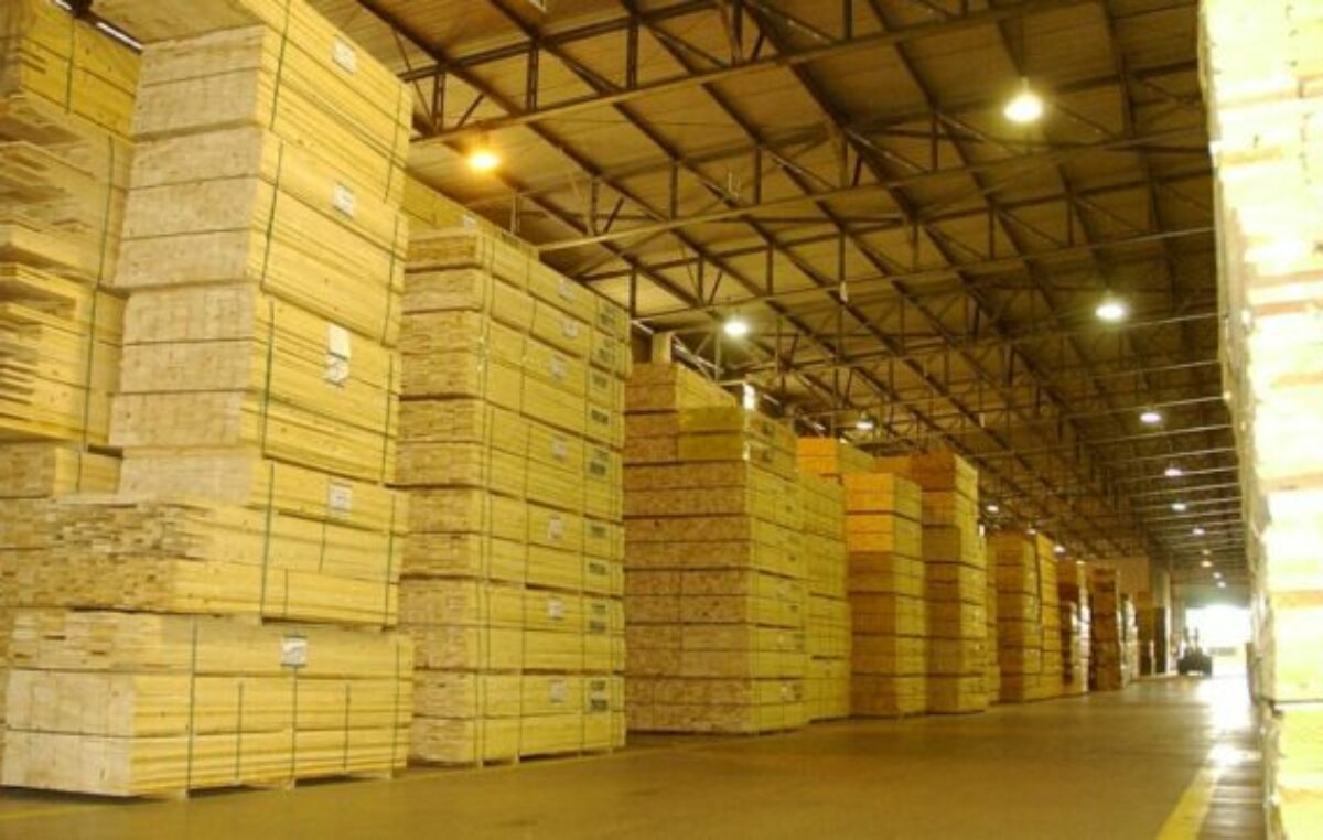 Competitividad cero: «Con retenciones del 15% el sector forestal prácticamente deja de exportar»