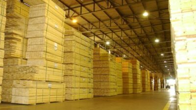 Competitividad cero: «Con retenciones del 15% el sector forestal prácticamente deja de exportar»