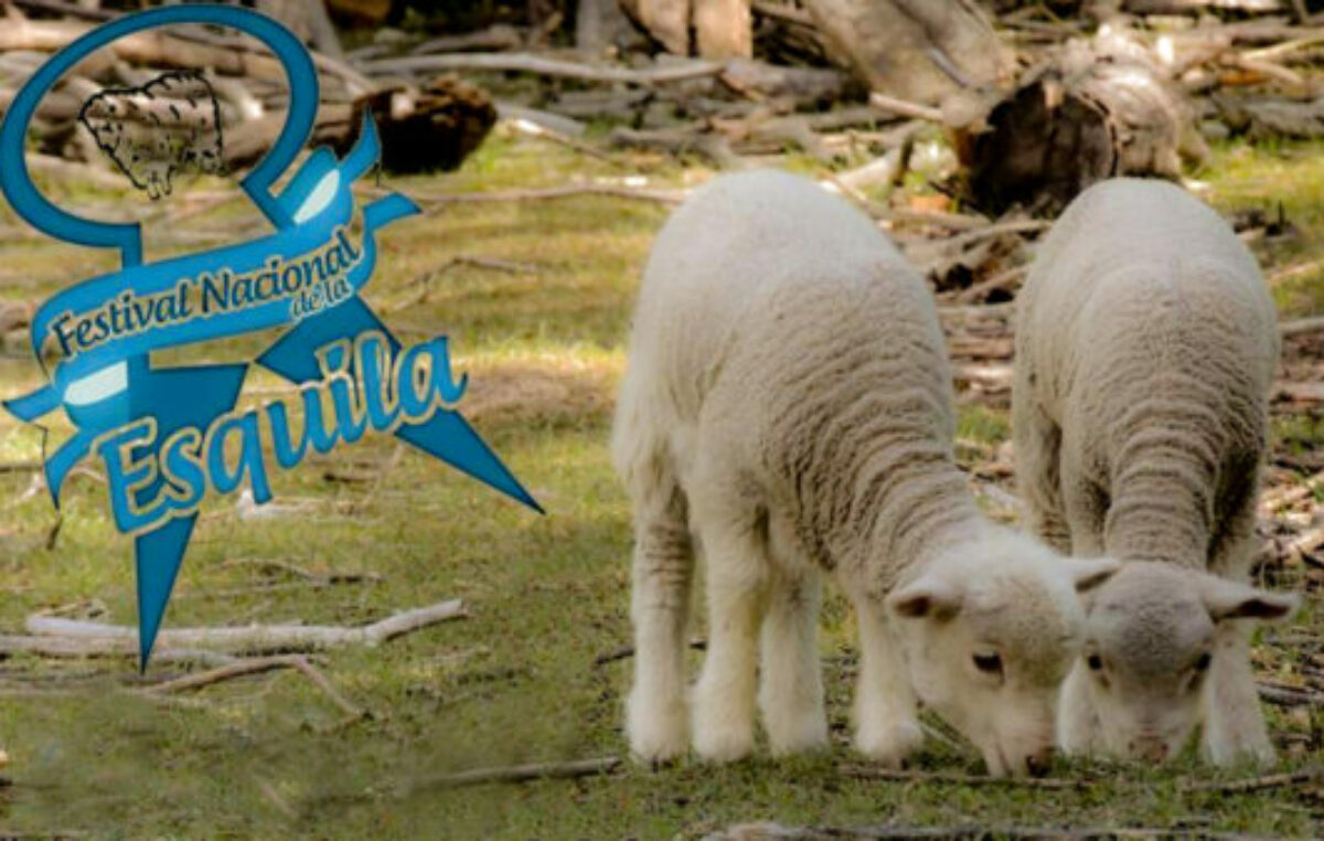 Se viene este fin de semana la Fiesta de la Esquila en Río Mayo