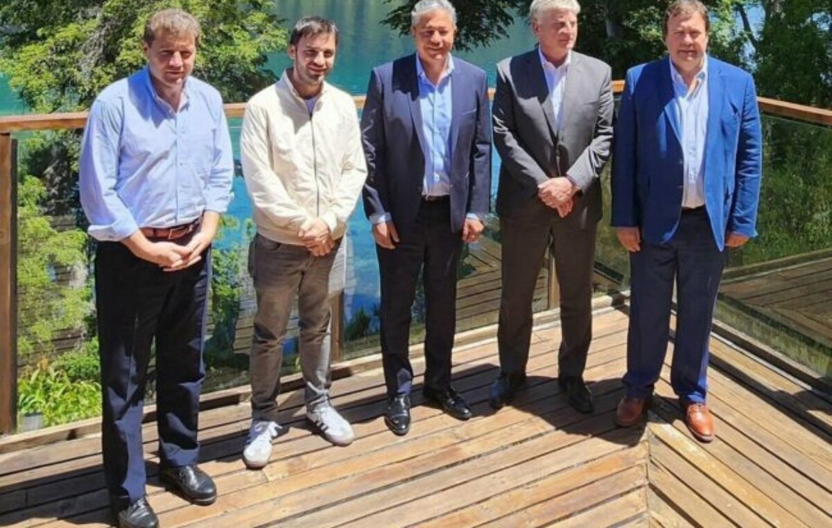 El loco, el gato y las Provincias Unidas