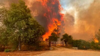 Esquel: Las hectáreas afectadas son casi 6000