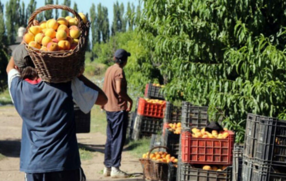 Mendoza se encoge: cómo crece la pobreza productiva y qué piensan hacer