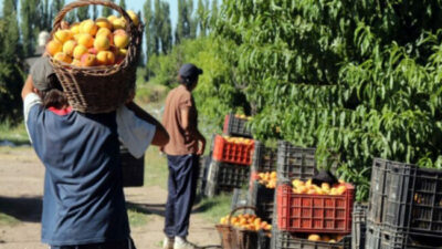 Mendoza se encoge: cómo crece la pobreza productiva y qué piensan hacer