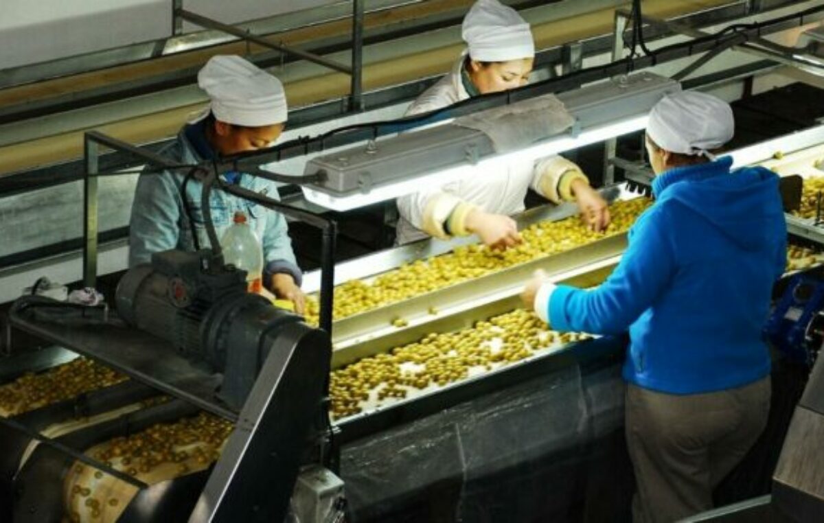 Apertura de importaciones: las pymes temen que se agudice la crisis con despidos y cierres