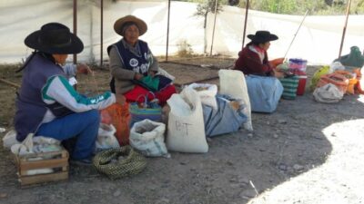 Municipio tilcareño respalda la vida campesina indígena