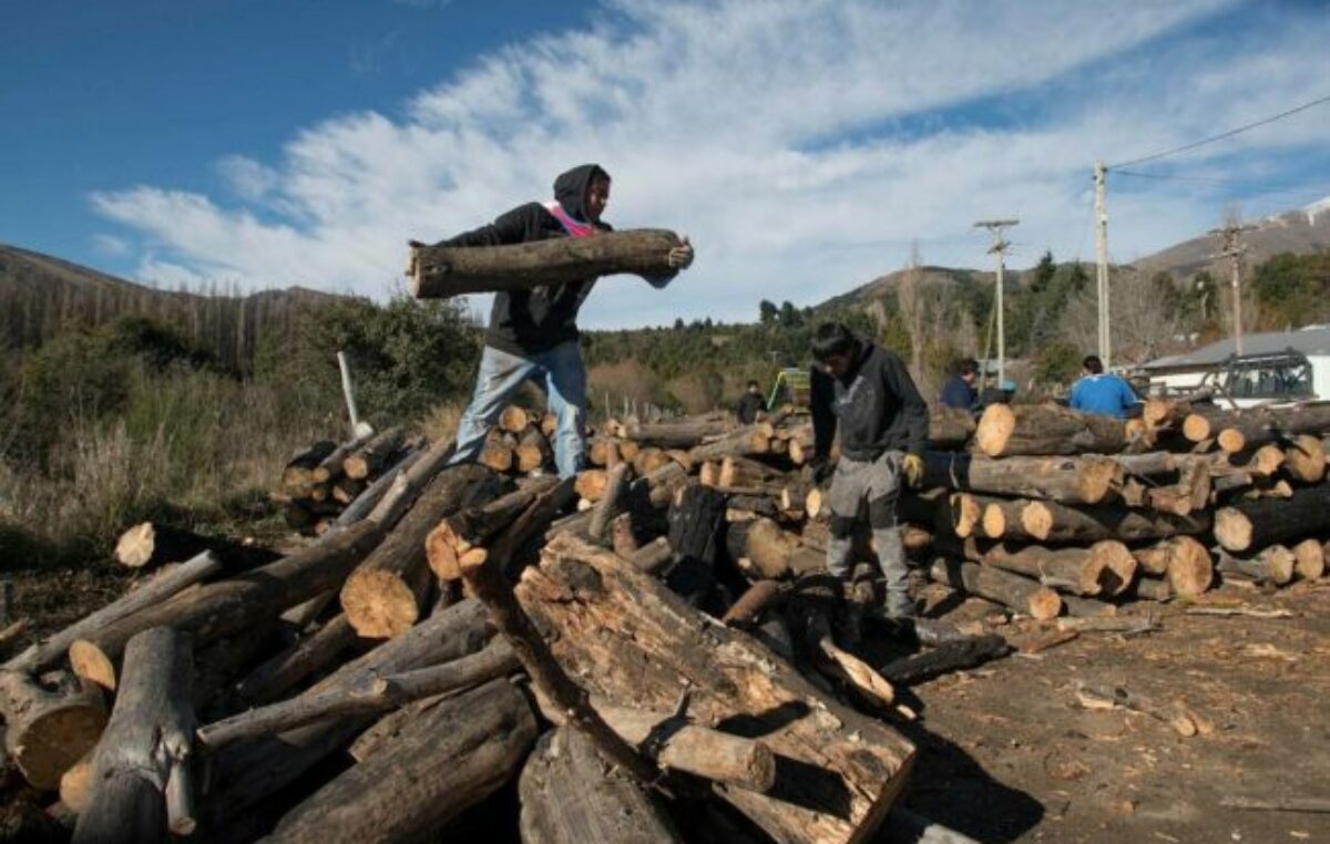 Emergencia Económica: el Municipio compró leña de forma directa y garantiza el Plan Calor en Bariloche