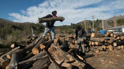 Emergencia Económica: el Municipio compró leña de forma directa y garantiza el Plan Calor en Bariloche