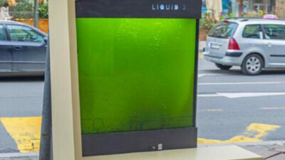 Árboles inteligentes: ya hay dos en el país y uno está en Capitán Bermúdez