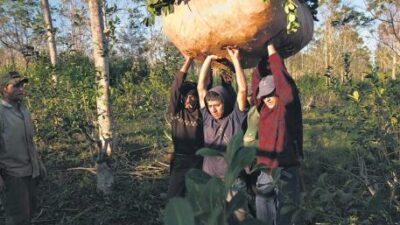 Se triplicó en la última década en el país la cantidad de trabajadores que viven en la pobreza, según un estudio de la UCA  