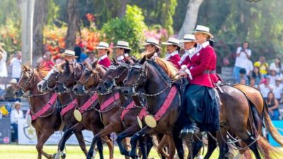 42° Concurso Nacional de Caballos Peruano de Paso