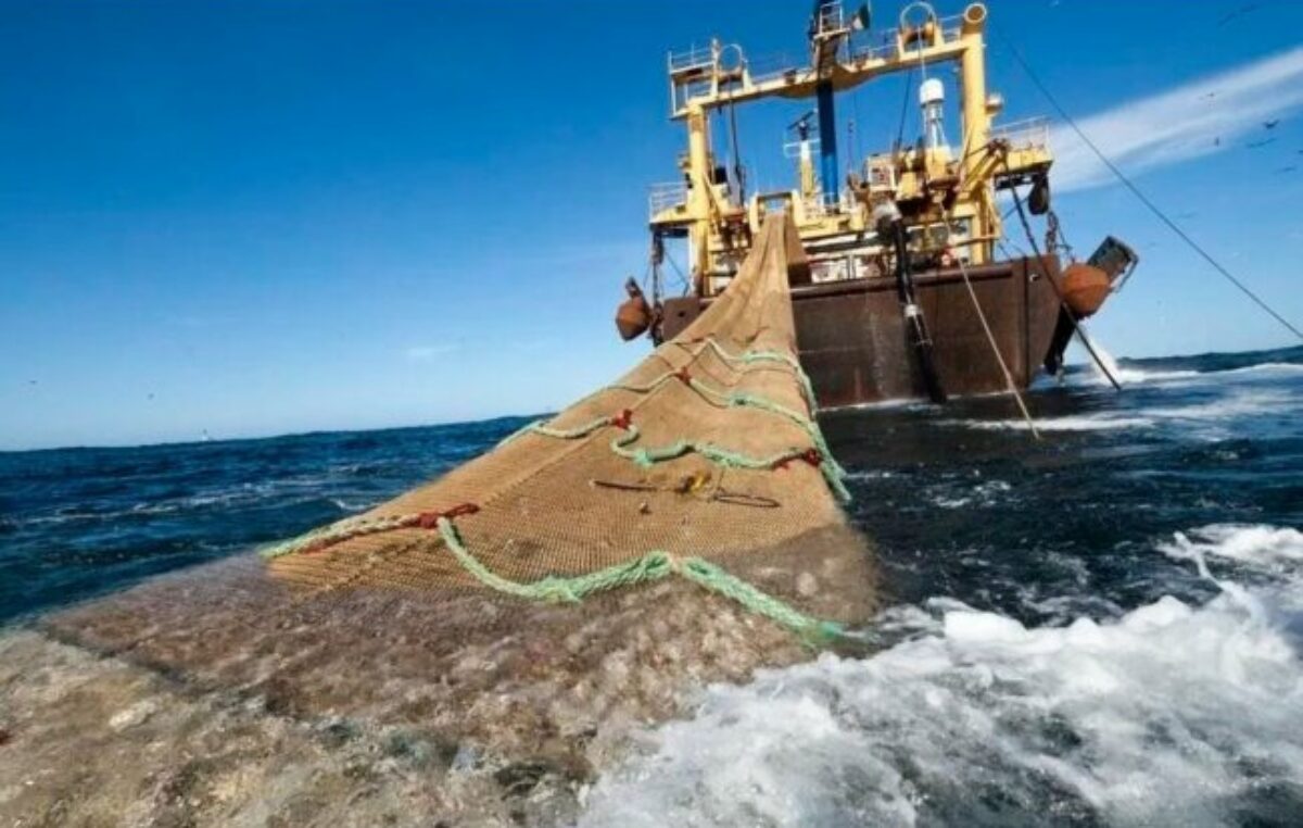 Merluza negra, soberanía marítima y otras oscuridades