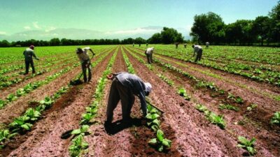 El 67% de los trabajadores en Mipymes salteñas son informales