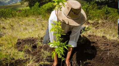 La ONU llama a la acción para evitar la desertificación del suelo y restaurar la tierra en el Día Mundial del Ambiente 2024