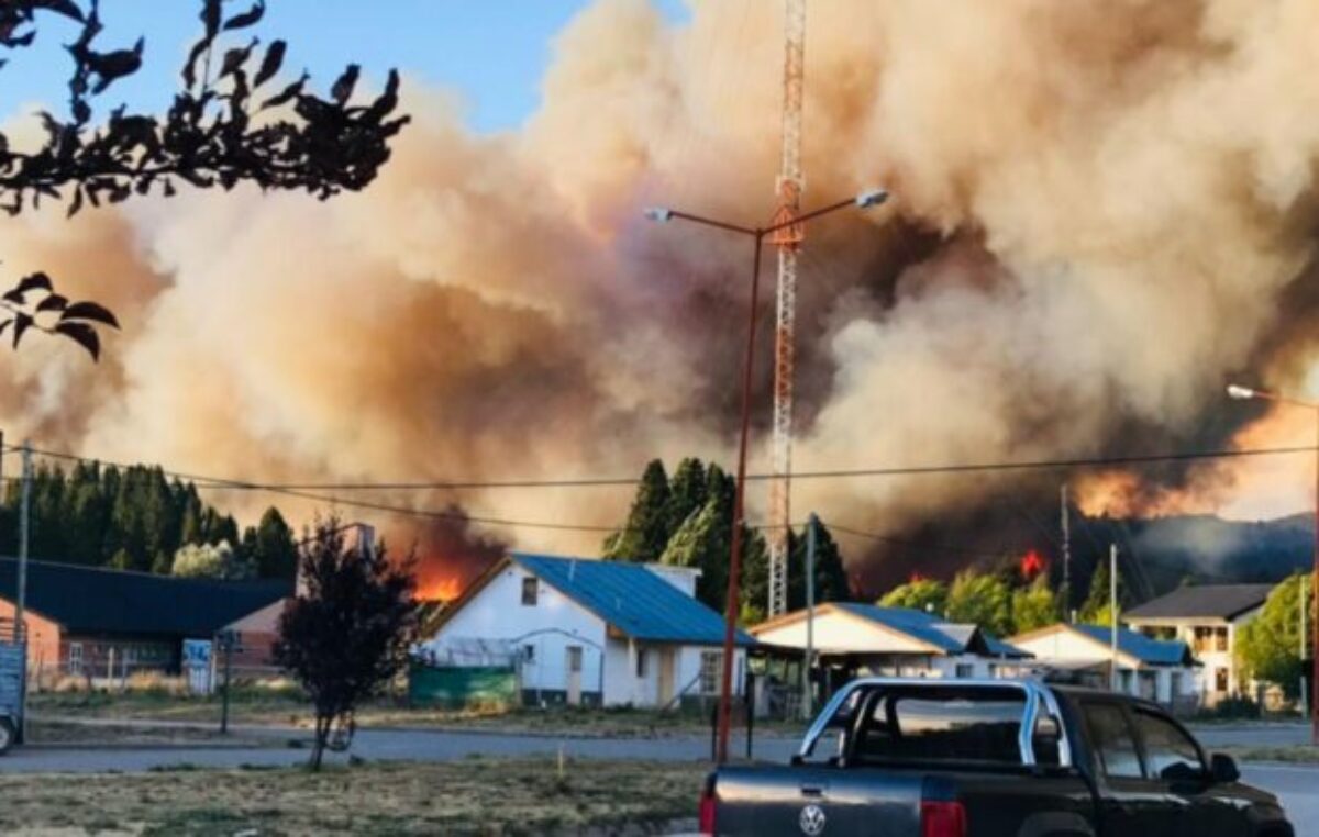 En seis meses el fuego arrasó con 7.700 hectáreas de Bosque Patagónico
