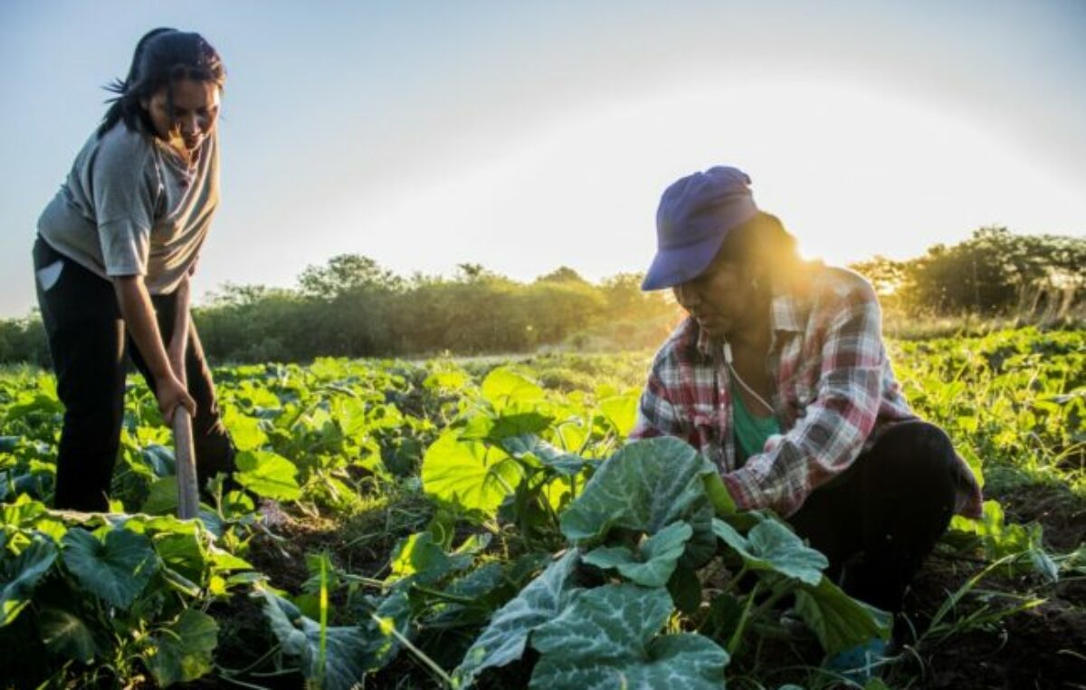 Se eliminó el Monotributo Social: desamparo total para trabajadores de la economía popular