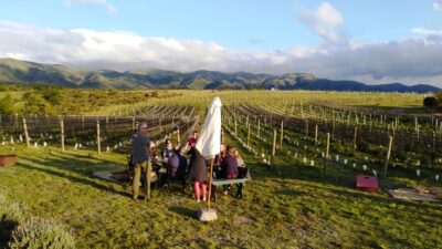 Ruta del vino cordóbes: una escapada para seguir descubriendo sabores en invierno