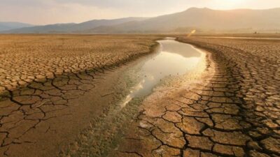 Cambio climático: cómo los países centrales se están beneficiando económicamente de los periféricos
