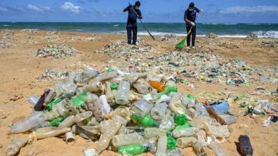 Menos del 10% de los plásticos se reciclan: un problema ambiental que requiere soluciones urgentes