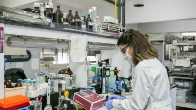 ¿Cómo afectó el ajuste al sector de ciencia y tecnología?