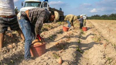 Cuánto perdieron los salarios en los primeros seis meses del Gobierno de Milei