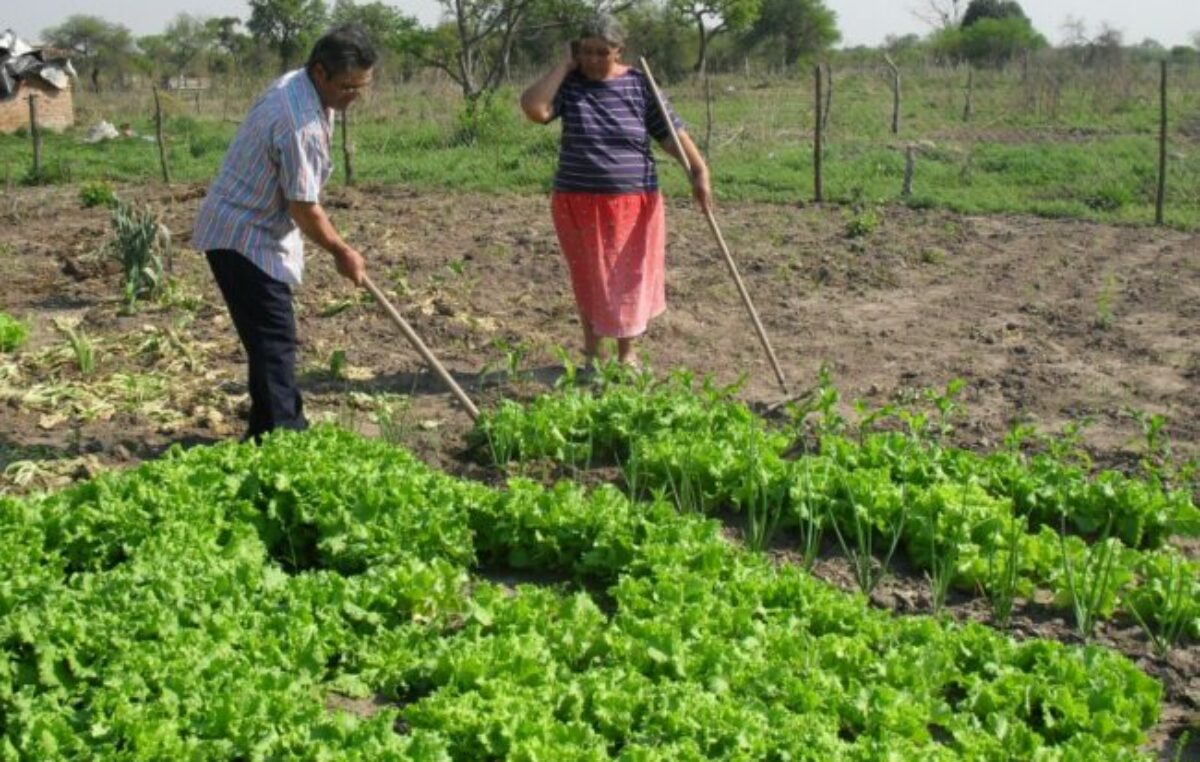 Productores de la agricultura familiar en crisis