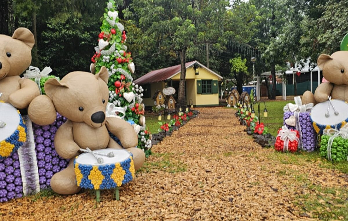 Así es el “pueblo más navideño de Argentina”: luces, decoraciones recicladas y figuras gigantes
