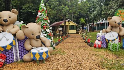 Así es el “pueblo más navideño de Argentina”: luces, decoraciones recicladas y figuras gigantes