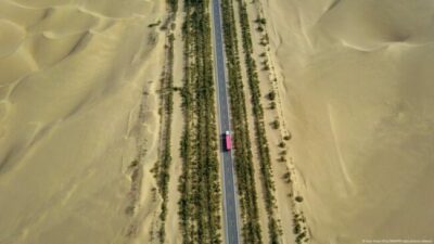 China termina muro forestal de 3.000 km para frenar desierto