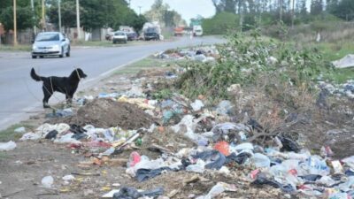 En cinco años, la recolección de basura sólo de minibasurales subió 108% en Santa Fe