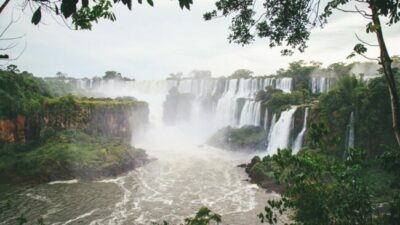 Misiones será el primer Estado subnacional a nivel mundial en recibir una compensación en créditos de carbono