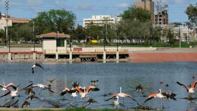 Trelew fue declarada «Ciudad de Humedales»