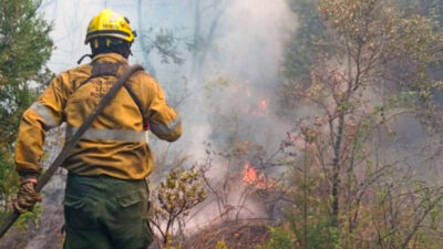 Más de 100 mil hectáreas incendiadas en Corrientes