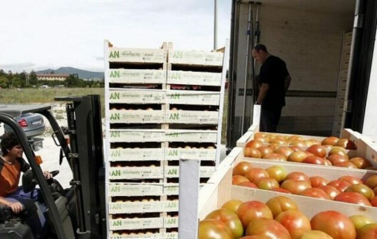 La importación de alimentos creció 82% en un año y hay preocupación en productores