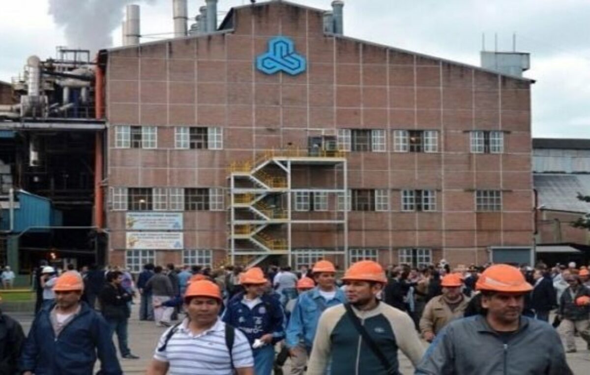 Ledesma recorta costos y desvincula a 165 trabajadores