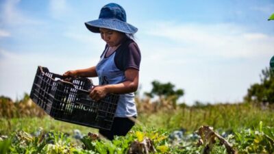 El “otro campo” cruzó a Milei por el criptoescándalo: “Más producción y menos timba”