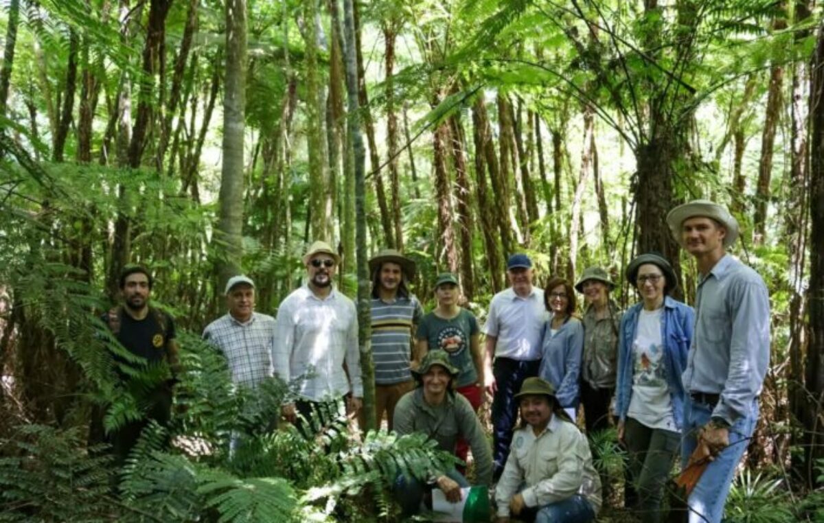 Semana Internacional de los Bosques 2025: Restauración y biodiversidad misionera impulsan el desarrollo en la región trinacional del Bosque Atlántico