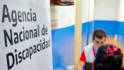 “El Gobierno ve a las personas con discapacidad como un gasto”